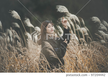 Pampas grass and female portrait 97204442