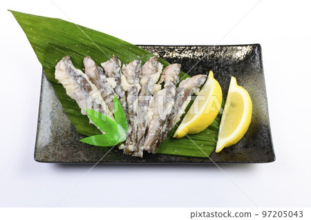 來自摩洛哥的熟壽司 來自摩洛哥的熟壽司 97205043