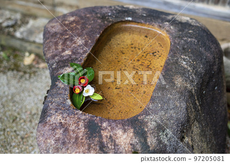 Red and white camellias attached to the squat 97205081