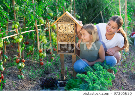 Mother, daughter and insect hotel 97205650