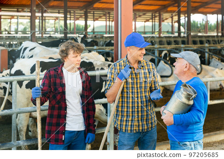 Dairy farm workers talk to each other during break 97205685