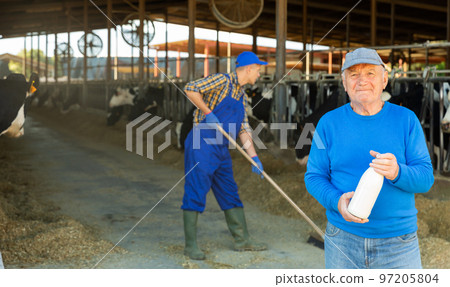 Elderly owner of cow farm with bottle of milk standing in stall on background with herd of cows on farm Elderly owner of cow farm with bottle of milk standing in stall on background with herd of cows on farm 97205804