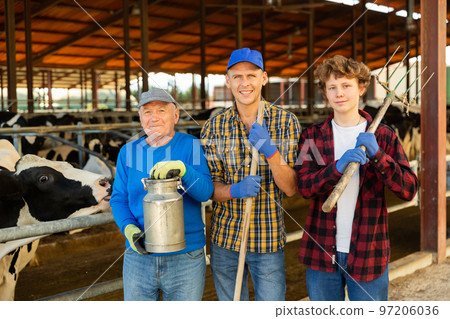 Three milk farm workers in cowhouse Three milk farm workers in cowhouse 97206036