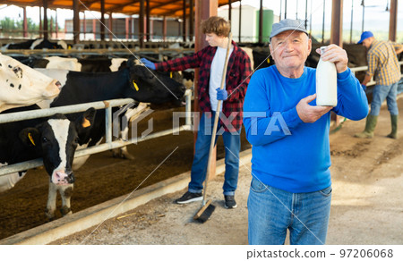 Farm owner and workers in cowhouse Farm owner and workers in cowhouse 97206068