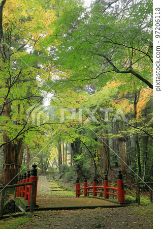 Gokuraku Bridge at Kudara Temple in full autumn leaves 97206118
