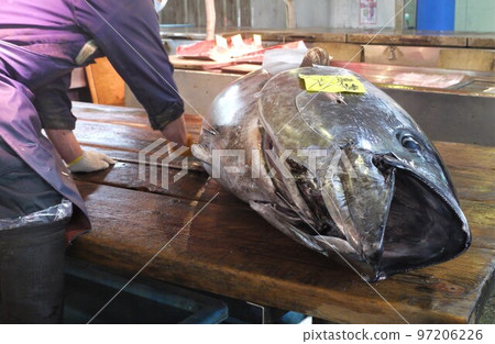 從Oma拆除此金槍魚並競標金槍魚。 97206226