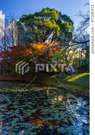 秋天的東京有秋葉的小石川後樂園 97206455