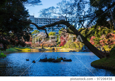 東京的秋天，有秋葉的小石川後樂園，大泉水 97206456