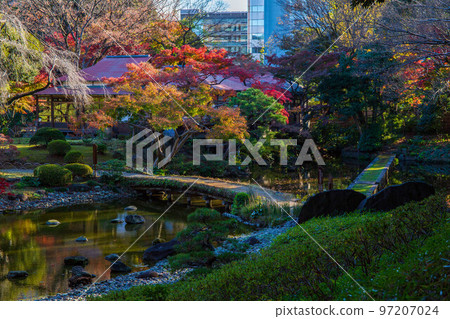 東京的秋天，秋色的小石川後樂園，渡月橋和西湖堤岸 97207024