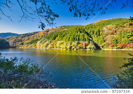 Autumn Leaves - Takeshugaike Pond Autumn Leaves - Takeshugaike Pond 97207334