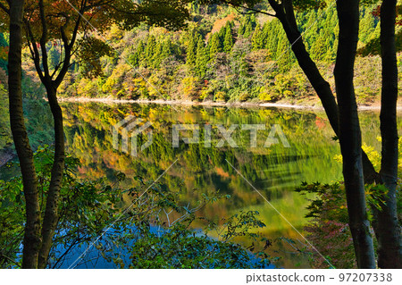 紅葉 - 竹週池 97207338