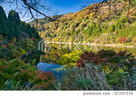 紅葉 - 竹週池 97207339