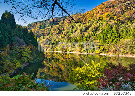 紅葉 - 竹週池 紅葉 - 竹週池 97207343