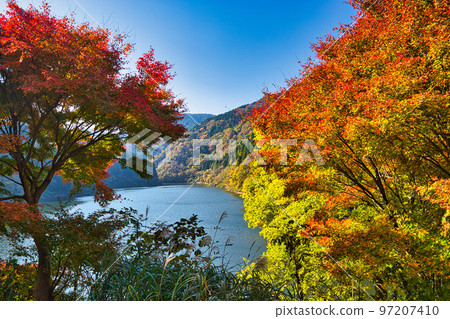 紅葉 - 竹週池 紅葉 - 竹週池 97207410
