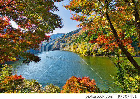 Autumn Leaves - Takeshugaike Pond Autumn Leaves - Takeshugaike Pond 97207411
