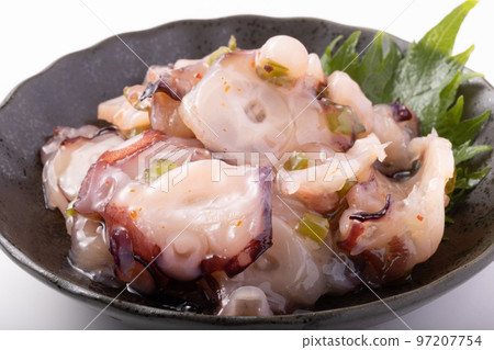 Octopus Wasabi (Mizudako) 97207754