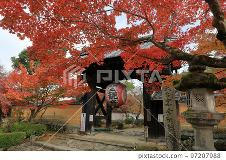 Kongourinji Kuromon Gate (main gate) in autumn colors 97207988