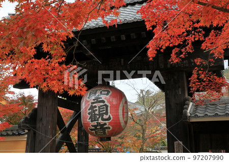 金剛林寺的黑門與鮮紅的楓葉 金剛林寺的黑門與鮮紅的楓葉 97207990