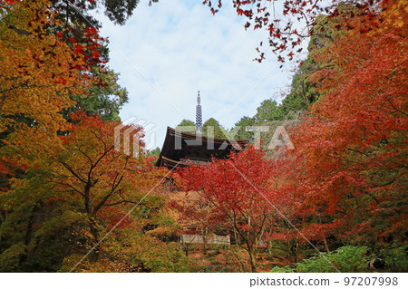 紅葉盛開的金剛林寺三層塔 紅葉盛開的金剛林寺三層塔 97207998
