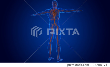 human heart damaged internal organ for medical concept 3D human heart damaged internal organ for medical concept 3D 97208171