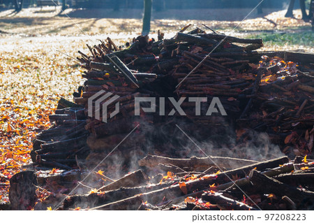 firewood steam 97208223