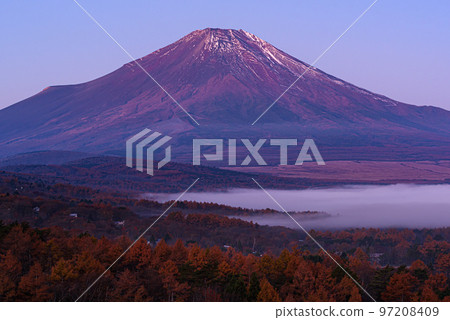 Mt. Fuji dyed in the morning glow and the sea of clouds over Lake Yamanaka Mt. Fuji dyed in the morning glow and the sea of clouds over Lake Yamanaka 97208409