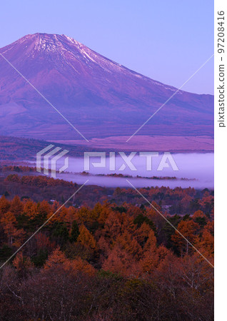Mt. Fuji dyed in the morning glow and the sea of clouds over Lake Yamanaka Mt. Fuji dyed in the morning glow and the sea of clouds over Lake Yamanaka 97208416