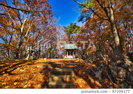 Autumn leaves - Mt. Ochichi Autumn leaves - Mt. Ochichi 97209177