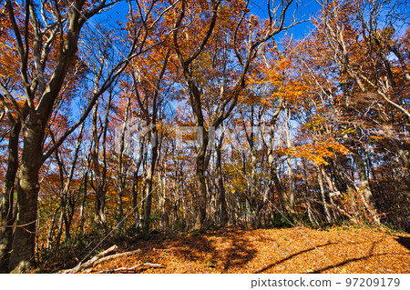 紅葉~越地山 紅葉~越地山 97209179