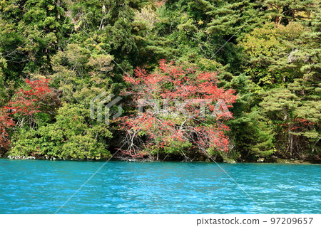 田澤湖和湖邊的秋葉 田澤湖和湖邊的秋葉 97209657