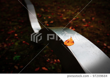 Fallen leaves on the playground equipment 97209684