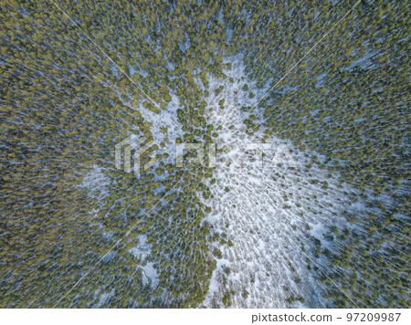 Aerial view of a winter pine forest. Top view of snow-covered pine trees. Beautiful winter forest landscape. Aerial view of a winter pine forest. Top view of snow-covered pine trees. Beautiful winter forest landscape. 97209987