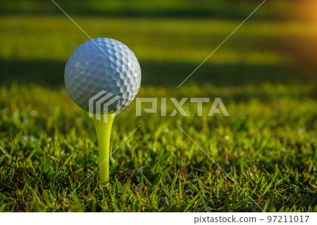 Golf ball on tee ready to play.Golf ball on a green lawn in a beautiful golf course with morning sunshine Golf ball on tee ready to play.Golf ball on a green lawn in a beautiful golf course with morning sunshine 97211017
