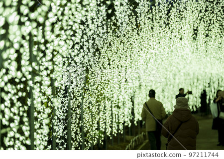 Illuminations at Ashikaga Flower Park Hikari no Hana Niwa, Ashikaga City, Tochigi Prefecture Illuminations at Ashikaga Flower Park Hikari no Hana Niwa, Ashikaga City, Tochigi Prefecture 97211744