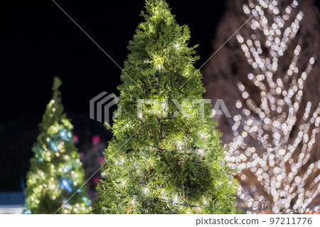 栃木縣足利市足利花卉公園 Hikari no Hana Niwa 的燈飾 97211776