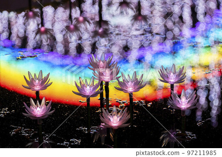Illuminations at Ashikaga Flower Park Hikari no Hana Niwa, Ashikaga City, Tochigi Prefecture Illuminations at Ashikaga Flower Park Hikari no Hana Niwa, Ashikaga City, Tochigi Prefecture 97211985