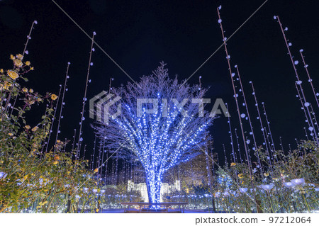 Illuminations at Ashikaga Flower Park Hikari no Hana Niwa, Ashikaga City, Tochigi Prefecture 97212064