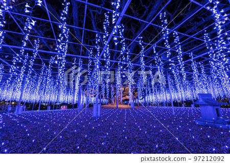 栃木縣足利市足利花卉公園 Hikari no Hana Niwa 的燈飾 97212092