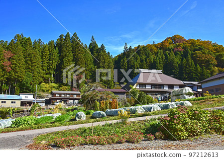Autumn scenery of Nodaira, Hakuba Village, Nagano Prefecture 97212613