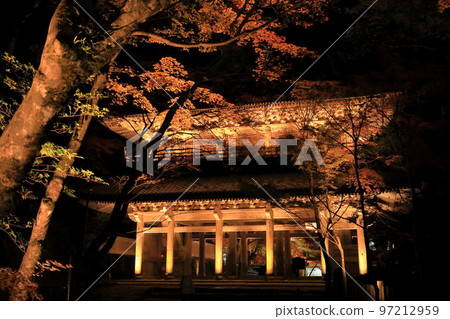 秋葉照亮的永源寺寺門 97212959