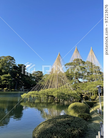 兼六園的冬季傳統，Yukitsuri 97213676