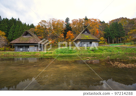 秋葉-永恆的浪漫之森 97214288