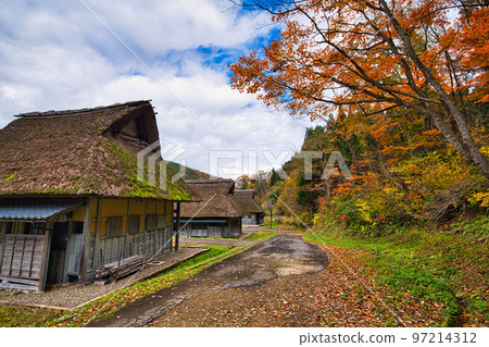 Autumn Leaves-Eternal Romance Forest Autumn Leaves-Eternal Romance Forest 97214312