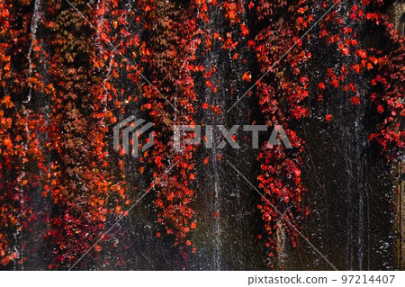 Chigasaki Central Park where you can feel the signs of autumn Chigasaki Central Park where you can feel the signs of autumn 97214407