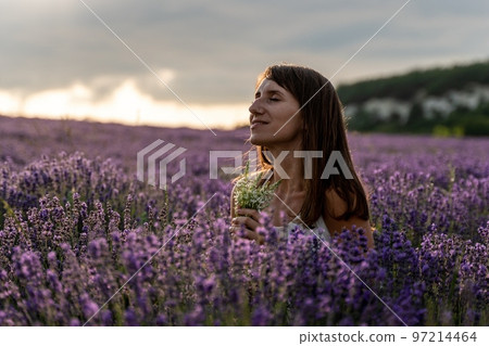 Close up portrait of happy young brunette woman in white dress on blooming fragrant lavender fields with endless rows. Warm sunset light. Bushes of lavender purple aromatic flowers on lavender fields. Close up portrait of happy young brunette woman in white dress on blooming fragrant lavender fields with endless rows. Warm sunset light. Bushes of lavender purple aromatic flowers on lavender fields. 97214464