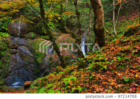 秋葉 - Hizume Falls 秋葉 - Hizume Falls 97214708