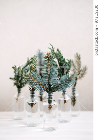 Festive Eco-Friendly environmentally friendly Christmas. Sustainable green Xmas. Branches of coniferous fir trees in bottles, minimal sustainable Christmas decorations for home. Festive Eco-Friendly environmentally friendly Christmas. Sustainable green Xmas. Branches of coniferous fir trees in bottles, minimal sustainable Christmas decorations for home. 97215230