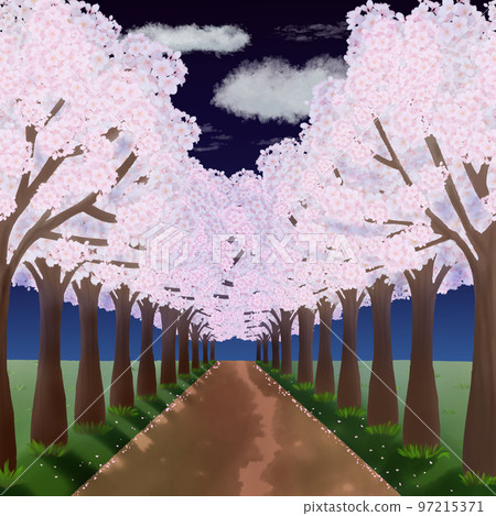 一排盛開的櫻花樹和一條夜間小路的水彩插圖 97215371