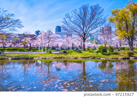 Sakuranosuke公園的Sakuranosaki 97215927