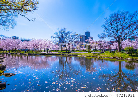 Sakuranosuke公園的Sakuranosaki 97215931
